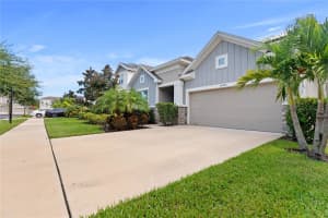 16409 LUCIA GARDENS LANE, TAMPA, FL 33625 - MLS#MFRTB8430786