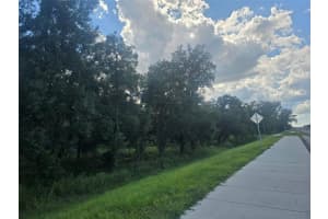 000 CORTEZ BOULEVARD, DADE CITY, FL 33523 - MLS#MFRTB8430810