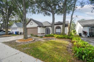 1129 BLOOM HILL AVENUE, VALRICO, FL 33596 - MLS#MFRTB8430814