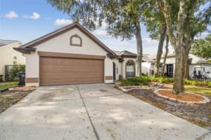 1129 BLOOM HILL AVENUE, VALRICO, FL 33596 - MLS#MFRTB8430814