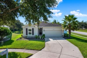15614 HEARTLEAF COURT, LAND O LAKES, FL 34638 - MLS#MFRTB8430819