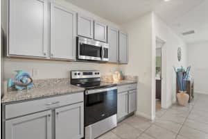 15615 BLACK PEPPER LANE, ODESSA, FL 33556 - MLS#MFRTB8430828