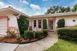 12256 94TH AVENUE, SEMINOLE, FL 33772 - MLS#MFRTB8430841