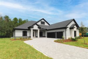 19605 AUTUMN OAK LANE, BROOKSVILLE, FL 34601 - MLS#MFRTB8430856