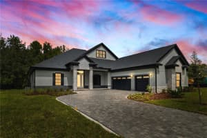 19605 AUTUMN OAK LANE, BROOKSVILLE, FL 34601 - MLS#MFRTB8430856