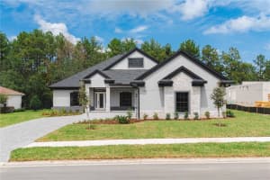 19605 AUTUMN OAK LANE, BROOKSVILLE, FL 34601 - MLS#MFRTB8430856