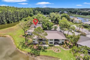 29147 BAY HOLLOW DRIVE, WESLEY CHAPEL, FL 33543 - MLS#MFRTB8430935