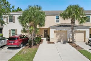 12852 BUFFALO RUN DRIVE, GIBSONTON, FL 33534 - MLS#MFRTB8430944