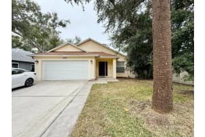 6959 S Manhattan Ave, TAMPA