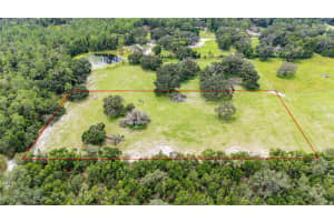 PINKSTON RD, DADE CITY, FL 33523 - MLS#MFRTB8431012