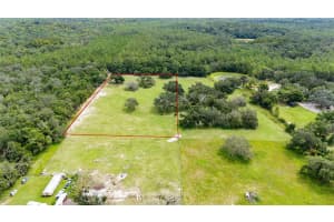 PINKSTON RD, DADE CITY, FL 33523 - MLS#MFRTB8431012