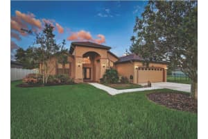 6428 BARCELLONA ROAD, LAND O LAKES, FL 34637 - MLS#MFRTB8431079