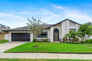 12008 Stone Crossing Cir, TAMPA