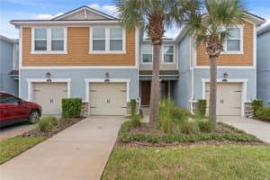 17812 ALTHEA BLUE PLACE, LUTZ, FL 33558 - MLS#MFRTB8431131
