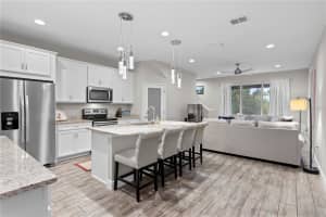 17812 ALTHEA BLUE PLACE, LUTZ, FL 33558 - MLS#MFRTB8431131