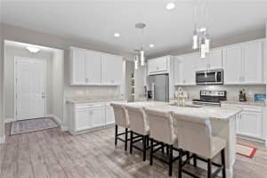 17812 ALTHEA BLUE PLACE, LUTZ, FL 33558 - MLS#MFRTB8431131