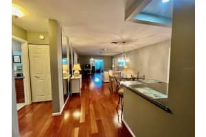 340 PALMER CIRCLE, PALM HARBOR, FL 34685 - MLS#MFRTB8431139