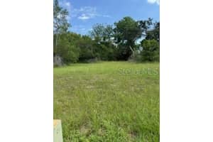 29523 CHAPEL PARK DRIVE, WESLEY CHAPEL, FL 33543 - MLS#MFRTB8431145