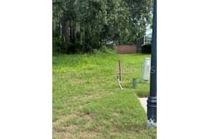 29523 CHAPEL PARK DRIVE, WESLEY CHAPEL, FL 33543 - MLS#MFRTB8431145