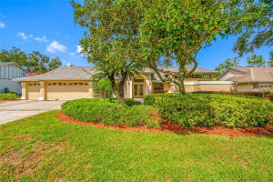 17909 CLEAR LAKE DRIVE, LUTZ, FL 33548 - MLS#MFRTB8431155