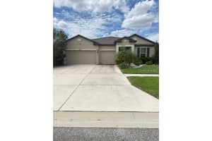 13805 TONYA ANNE DRIVE, RIVERVIEW, FL 33579 - MLS#MFRTB8431161