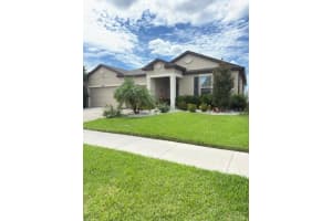 13805 TONYA ANNE DRIVE, RIVERVIEW, FL 33579 - MLS#MFRTB8431161