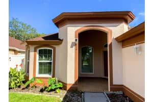 479 BRILAND STREET, TARPON SPRINGS, FL 34689 - MLS#MFRTB8431184