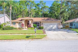 3417 TANGLEWOOD TRAIL, PALM HARBOR, FL 34685 - MLS#MFRTB8431205