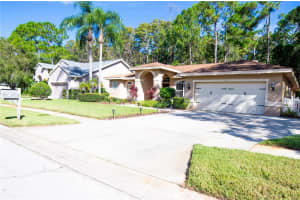 3417 TANGLEWOOD TRAIL, PALM HARBOR, FL 34685 - MLS#MFRTB8431205