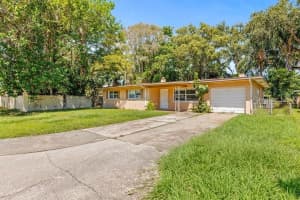 3124 SAN BERNADINO STREET, CLEARWATER, FL 33759 - MLS#MFRTB8431206