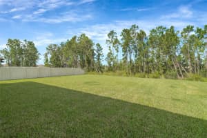 3615 MARYLAND AVENUE, PLANT CITY, FL 33565 - MLS#MFRTB8431216