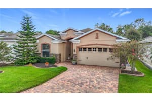 9952 GAP WEDGE DRIVE, SAN ANTONIO, FL 33576 - MLS#MFRTB8431279