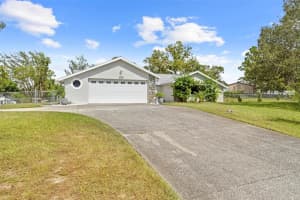 11717 TRUMBULL DRIVE, SPRING HILL, FL 34609 - MLS#MFRTB8431300