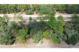 3341 WILHELM STREET, CITRUS SPRINGS, FL 34433 - MLS#MFRTB8431326