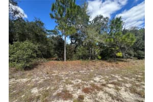 3341 WILHELM STREET, CITRUS SPRINGS, FL 34433 - MLS#MFRTB8431326
