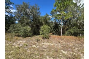 3341 WILHELM STREET, CITRUS SPRINGS, FL 34433 - MLS#MFRTB8431326