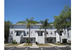 7137 BANK DRIVE, TAMPA, FL 33617 - MLS#MFRTB8431334