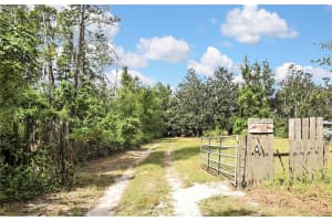 2842 CR 756, WEBSTER, FL 33597 - MLS#MFRTB8431336