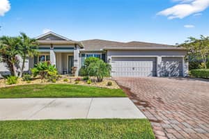 11761 LAKE LUCAYA DRIVE, RIVERVIEW, FL 33579 - MLS#MFRTB8431346