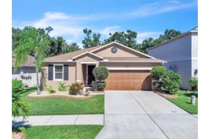 7518 TANGLE BROOK BOULEVARD, GIBSONTON, FL 33534 - MLS#MFRTB8431356