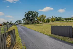 5426 GRIFFIN VIEW DRIVE, LADY LAKE, FL 32159 - MLS#MFRTB8431357