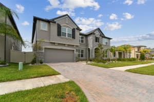 19316 EAGLE CREEK LANE, TAMPA, FL 33647 - MLS#MFRTB8431388