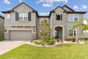 19316 EAGLE CREEK LANE, TAMPA, FL 33647 - MLS#MFRTB8431388