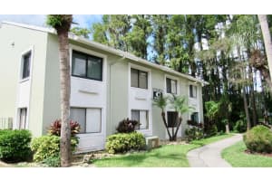 20861 HAULOVER COVE, LUTZ, FL 33558 - MLS#MFRTB8431405