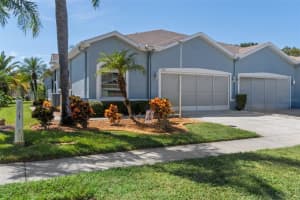 11447 GOLF ROUND DRIVE, NEW PORT RICHEY, FL 34654 - MLS#MFRTB8431418