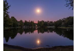 6013 ROBERTA CIRCLE, TAMPA, FL 33604 - MLS#MFRTB8431464