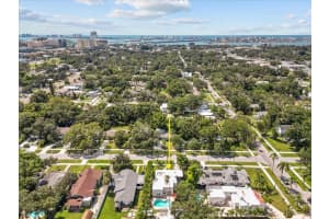 219 MISSOURI AVENUE, CLEARWATER, FL 33755 - MLS#MFRTB8431531