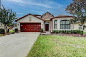 12747 TIKAL WAY, TRINITY, FL 34655 - MLS#MFRTB8431568