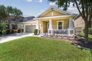 9264 BELLA VITA CIRCLE, LAND O LAKES, FL 34637 - MLS#MFRTB8431571