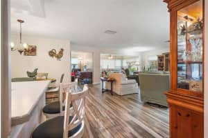 116 ELMWOOD CIRCLE, SEMINOLE, FL 33777 - MLS#MFRTB8431584
